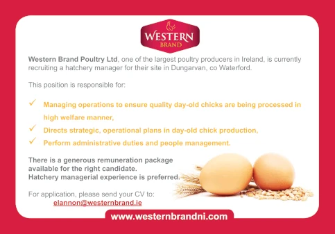 Oferta pracy w Western Brand Poultry Ltd